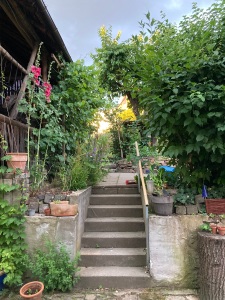 Treppe zum Garten